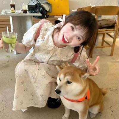 哭泣的草原海报