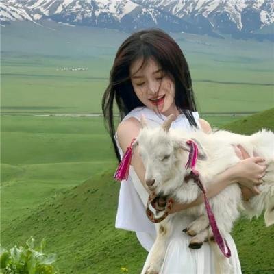 双重追捕血拼金三角海报